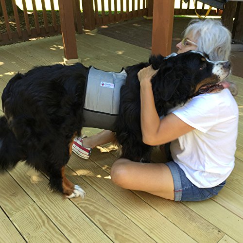 CoolerDog Dog Cooling Vest & Cooling Collar – Ice Vest for Hot Weather Heat Relief, Re-Freezable Pure Water Inserts (Large...