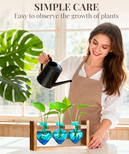 Nacome Plant Terrarium Propagation Stations: Mothers Day Gifts for Mom Plant Lovers Women Wife Daughter - 3 Bulb Glass Vas...
