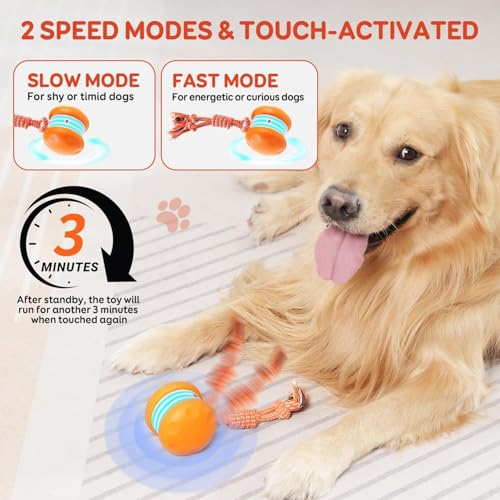 QGI Interactive Dog Toys, Random Path Electric Automatic Moving and Rolling Dogs Toy with Rope for Small Medium Large Dog...