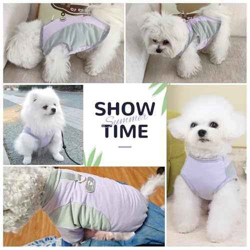 AXIIJGL Dog Cooling Vest with D-Ring Dog Tshirt Sun Protection Small Puppy Clothes for Girls Boys Stretchy Shirts for Dogs...