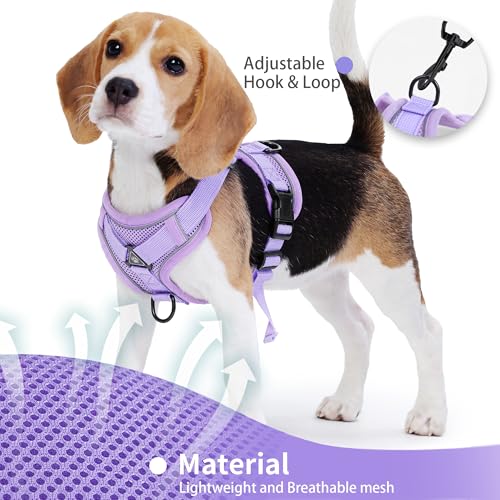 Jolifield No Pull Dog Harness with Leash Set for Small Sized Dog, Reflective Adjustable No Choke Front Clip Cat Vest Harne...