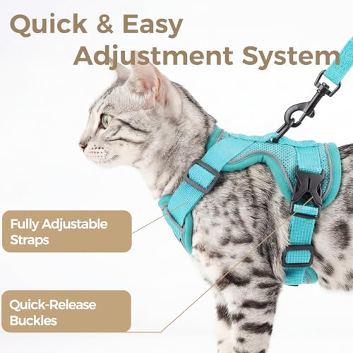 pangdi Cat Harness and Leash Set Escape Proof Tactical Large Kitten Harness Emotional Support Cat Vest, Turquoise, L