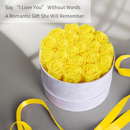 Gifts for Women Preserved Roses Flower Box, Luxury Velvet Box with 20 Roses, Preserved Flowers, Romantic Gift for Her, Wif...