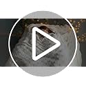 NEWCOSPLAY Super Soft Throw Blanket Ivory Premium Silky Flannel Fleece 3D Checkered Lightweight Bed Blanket All Season Use...