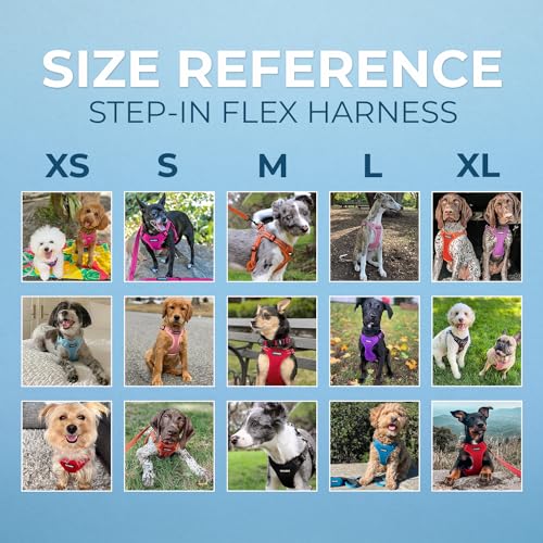 Best Pet Supplies Voyager Adjustable Step-in Flex Breathable Mesh Dog Harness for Small Medium Large Dogs Leash Set (Pink), S