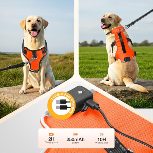 Fiveda Light Up Dog Harness LED Dog Vest - USB-C Rechargeable RGB 9-LED, Slow/Fast Rainbow Modes, Reflective No-Pull Harne...
