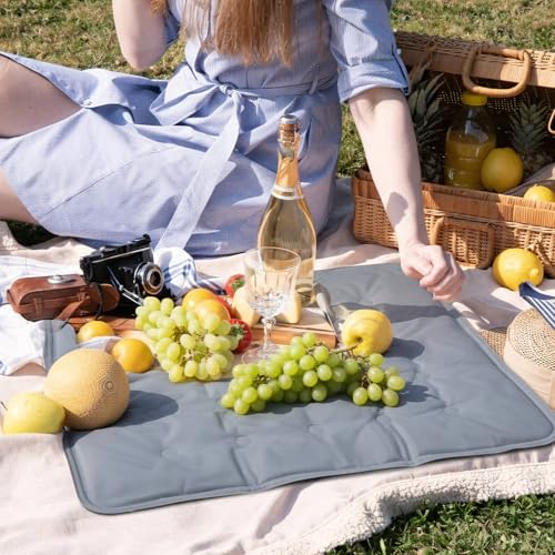 Reallnaive 2 Pcs Reusable Freezable Ice Mat for Buffet Table Chilled Serving Tray Party 19.69 x 15.75 Inches Charcuterie C...