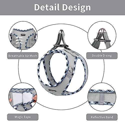 AMTOR Small Dog Harness with Leash Set, No Escape Easy Walk Puppy Harnesses for Training Walking, Step-in Reflective Soft ...