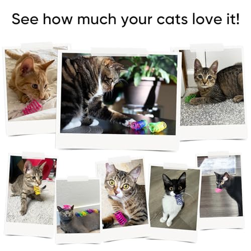 AGYM Cat Toys for Indoor Cats, 30 Pack Interactive Cat Spring Toys, Durable Colorful Plastic Spiral Springs for Kitten Hun...