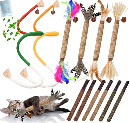 GREMBEB Cat Toys 12PCS Catnip Toy for Indoor Kitten Toys Cat Chew Stick for Dental Cleaning Teeth Cat Silvervine Matatabi ...
