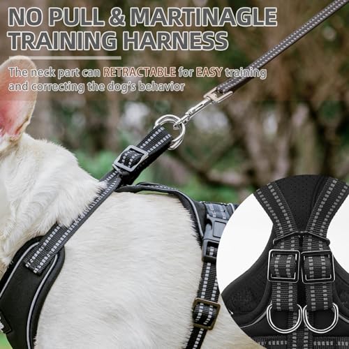 PUPTECK Dog Harness and Leash Set Small Sized, Adjustable Reflective Escape Proof Puppy Vest, No Pull Walking Harness Easy...