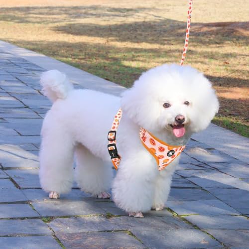 Dog Cat Harness and Leash Set, Puppia Soft Mesh Padded and Adjustable Puppy Vest Cute Dog Clothes Escape Proof Easy Walk P...