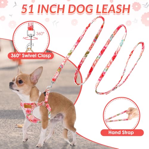 SlowTon Dog Harness Small Sized Dog - Soft XXS Dog Harness and Leash Set No Pull No Chock, Adjustable Lightweight Puppy Ha...