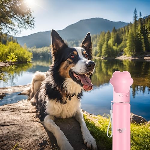 Waggle Bottle Stainless Steel Dog Travel Water Bottle, Vacuum Insulated Portable Dog Water Dispenser, Drink Cup and Snack ...