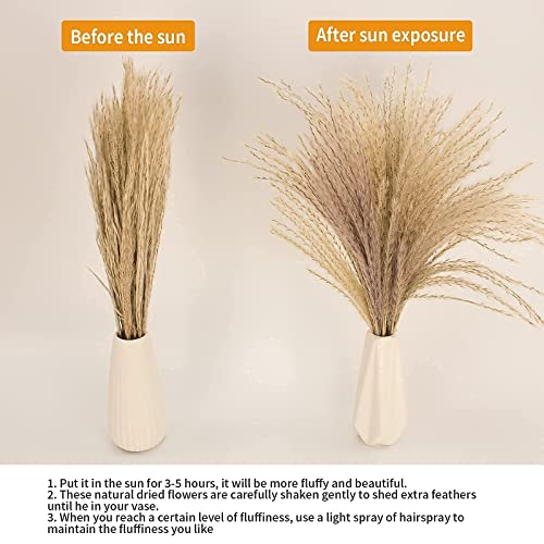 65PCS Pampas Grass Decor, Including pompas Floral, Reed Dried Grass and Bunny Tails Dried Flowers, Natural Dried Pampas Gr...