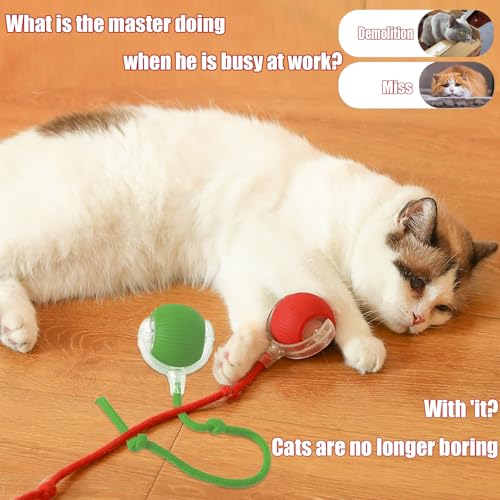 2025 New Interactive Dog Cat Toys Balls,Interactive Rolling Ball Cat Toy, 360° Smart Automatic Rolling Pet Ball, Fast Movi...