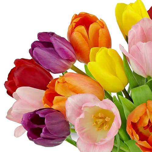 Benchmark Bouquets - Rainbow Tulips - Fresh Flowers for Delivery - Mothers Day Flowers for Mom - Mothers Day Gifts - Birth...