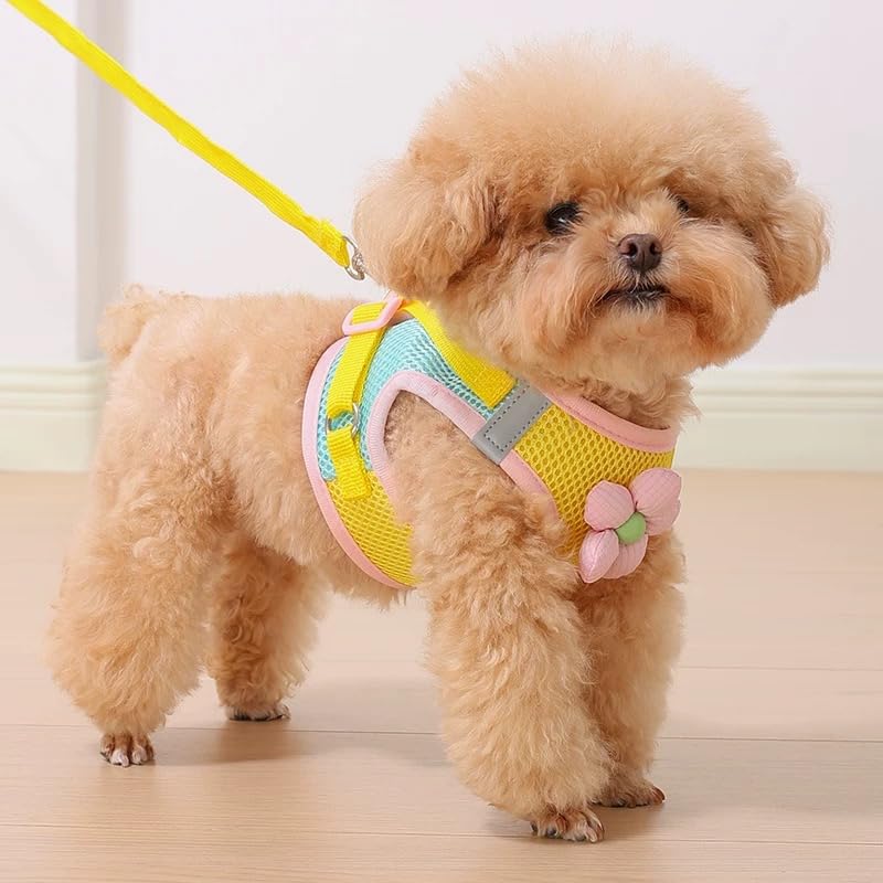 Floral Mesh Dog Harness with Matching Leash, Lightweight Pet Vest,Suitable for Small and Medium-Sized Cats and Dogs to Wea...