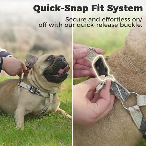 Dog Harness with Leash and Bow Tie Collar Set - Beige Plaid Puppy Harness, Escape Proof Adjustable No Pull Dog Vest for Ou...