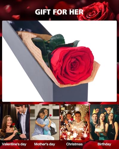 YAMPP Preserved Flowers Gifts for Women: Valentines Day Mothers Day Birthday Christmas Anniversary Wedding Gift for Mom Gi...