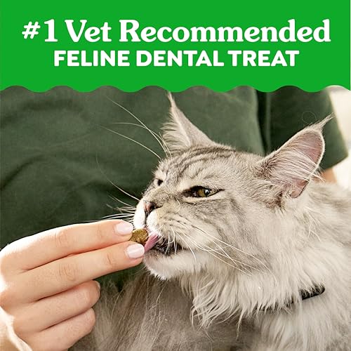 Greenies Cat Treats, Feline Veterinarian-Recommended Adult Natural Dental Cat Treats, Oven Roasted Chicken Flavor, 9.75 o...
