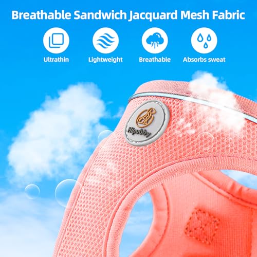 Hipubby Dog Harness and Leash Set, No Pull Soft Mesh Puppy Harness for Small Medium Dogs, Cats - Step in Reflective Breath...