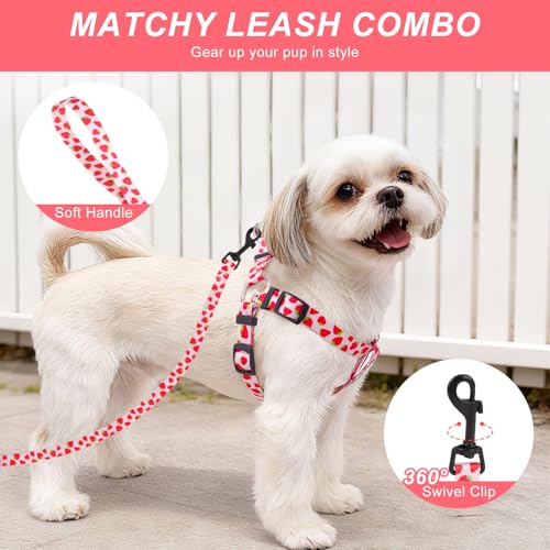 BEAUTYZOO Dog Harness Small Sized Dog Girl, No Pull Dog Harness and Leash Set,Step in Soft Light Puppy Vest, No Choke Heav...