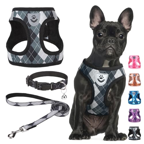 SCENEREAL Small Dog Harness and Leash Collar Set, Step in No Pull Soft Mesh Dog Harnesses for Small Medium Sized Dogs Pupp...