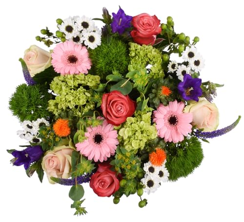 Floral Compass by Nature’s Flowers - Celebration Flower Bouquet - Prime Eligible, 30+ Fresh Cut Flowers for Delivery, No Vase