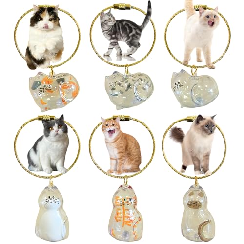 floofelove 6PCS Cat Fur Keepsake Storage Bottle - Pet Memorial Gifts for Cats Transparent Cat Hair Keychain Collection Dog...