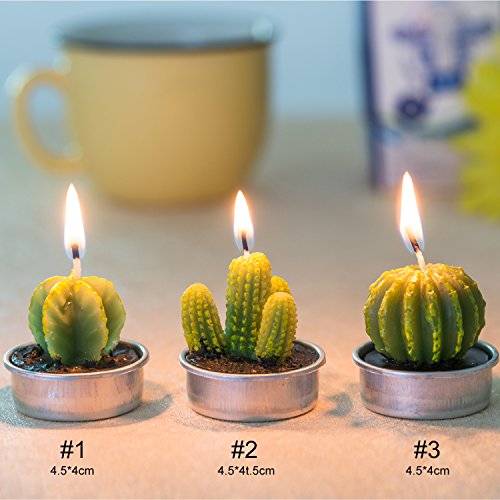 COCOMOON Cactus Tea Light Candles, 6 Pcs Decorative Candles with Artificial Succulents, Unscented, 30 min Burn Time, Moder...