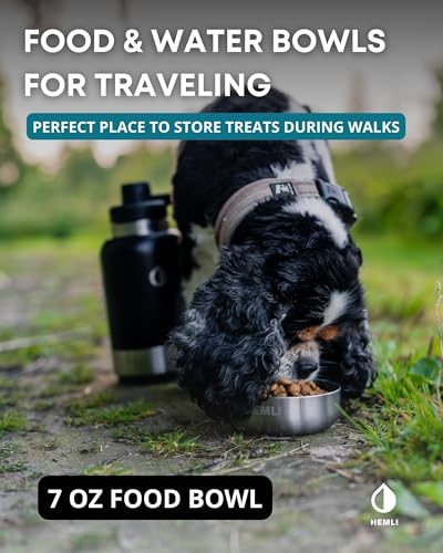 HEMLI 32 oz. Dog Water Bottle, Insulated Dog Travel Water Bottle, Stainless Steel Pet Water Bottle Dispenser Portable Food...