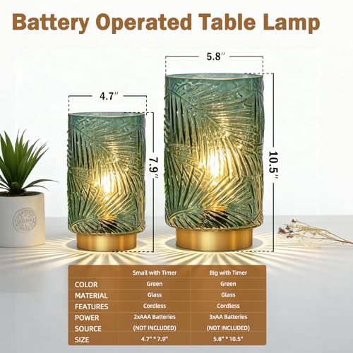 Battery Operated Table Lamp, Cordless Lamps for Home Décor, Nightlight with LED Bulb with Timer for Living Room Bedroom Ta...