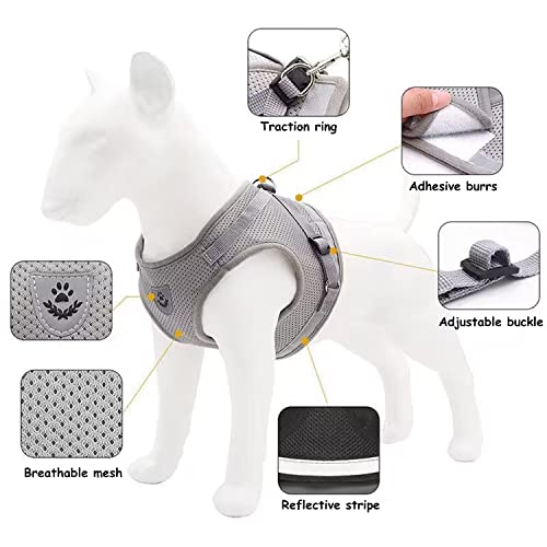 Petbuy Step in Dog Harness and Leash Set,Reflective Adjustable Soft Mesh Breathable Pet Vest Dog Harnesses Set, No Chock N...