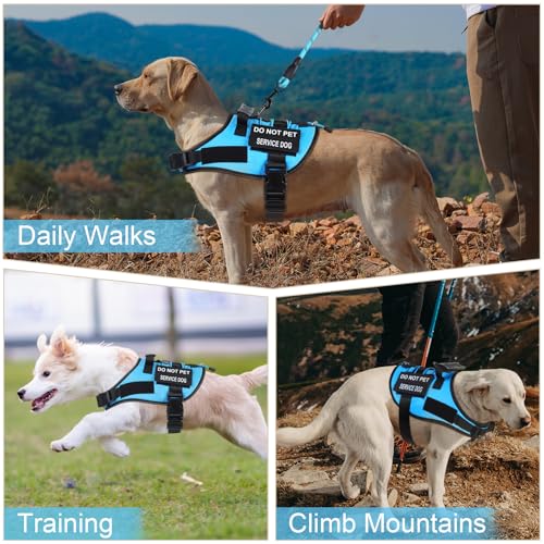 No Pull Dog Harness Small Medium Sized Dog, Service Dog Harness and Leash Set with 4 Patches, Adjustable Easy Walk Dogs Ha...
