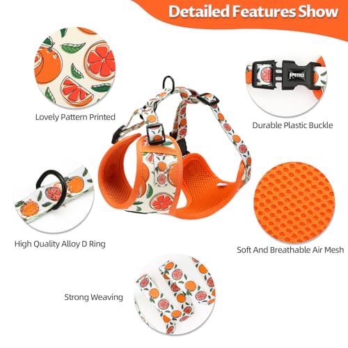 EPETKO Small Dog Harness and Leash Set of 6, No Pull Soft Lightweight Mesh Puppy Harness， Adjustable Cute Floral Pattern P...