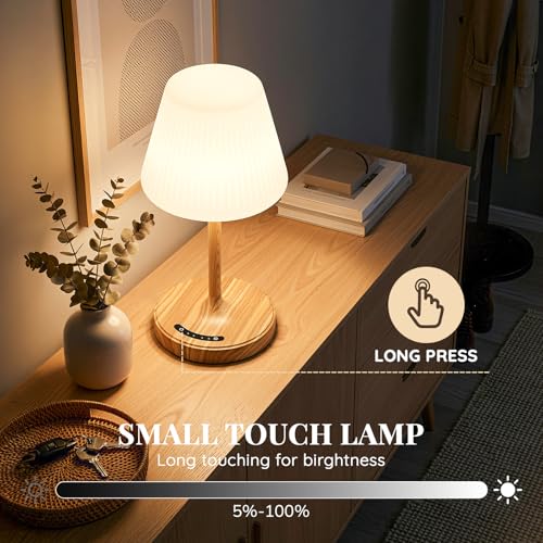 Shower Lamp Waterproof Bathroom Lamp for Inside Shower Bathtub, Rechargeable Cordless Table Lamp with 4000mah Battery, Tou...