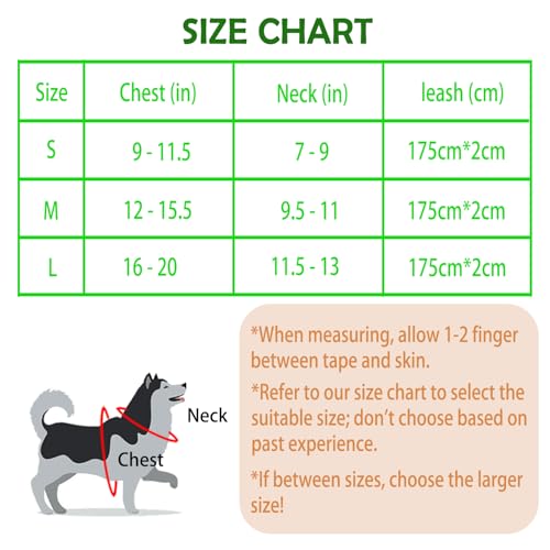 Small Dog Harness and Leash Set, Step-in Puppy Vest with Breathable Soft Padded Mesh, Walking Reflective Pet Harness for S...