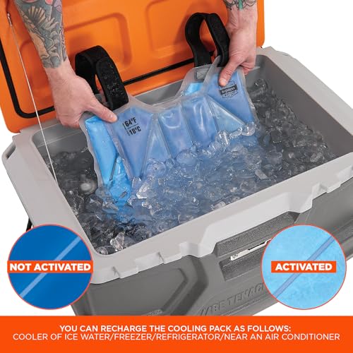 Ergodyne 6210 Phase Change Lightweight Cooling Ice Vest, Cooling Relief for All Environments, Cooling Towel Included