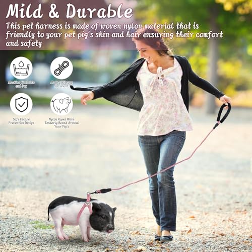 Mini Pig Harness, Adjustable Small Pig Harness with Leash Infinity Style Lead and Soft Foam Handle for Small to Medium Pet...