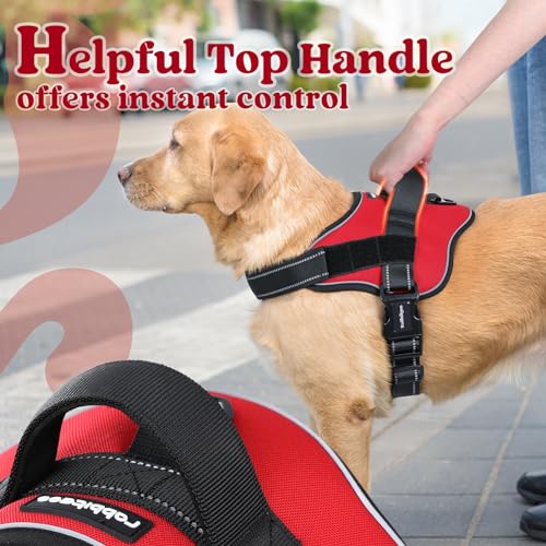 rabbitgoo Dog Harness Medium Sized Dog, Easy Wearing with One Buckle, No Choke No Pull Harness Buddy, Adjustable Reflectiv...