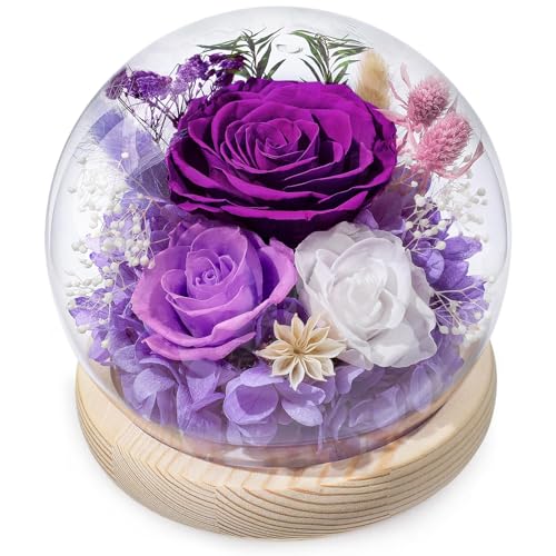 FIACO Gifts for Women Mom Mothers Day Birthday Preserved Flowers in Glass Dome Forever Fresh Flowers for Delivery Eternal ...