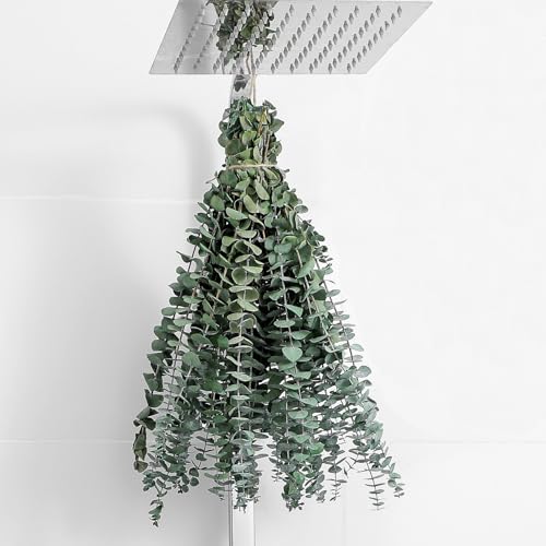 10 Pcs Dried Eucalyptus Stems 17" Real Eucalyptus for Shower Hanging 100% Made from Fresh Leaves, Wedding, Home, Farmhous...