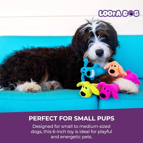 Multipet Original Loofa Dog Plush Toy - Squeaky Toy for All Dogs - Extra Soft Plush - Stuffed Animal Dog Toys for Playing...