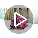 INQCMY Artificial Hanging Flowers Basket for Outdoors Spring Summer Decoration,Faux Silk Begonia in Planter Look Real UV R...