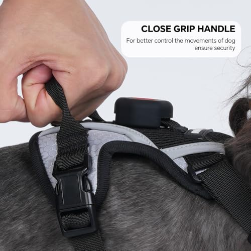 Cat Harness Leash Set with AirTag Holder, Upgraded Escape Proof Vest with Lead for Small Cat Kitten Puppy Small Dog Outdoo...