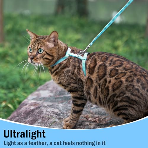 PUPTECK Adjustable Cat Harness and Leash Set Escape Proof Kitten Strap Collar for Walking Travel, SkyBlue