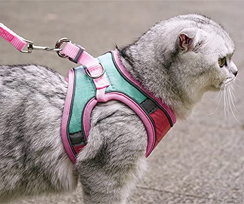 JSXD Cat Harness,Leash and Collar Set,Escape Proof Kitten Vest Harness for Walking,Easy Control Night Safe Pet Harness wit...