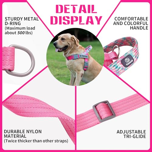 Paworld Service Dog Harness and Leash Set, No-Pull Service Dog Vest with 4 PCS Reflective Patches, Dog Vest Harness with H...