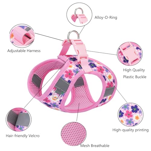 XXS Dog Harness and Leash Set, Step in Dog Harness No Pull for Walking Running Training, Puppy Essentials for Dogs Cat Bun...